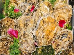高压锅生蚝-蠔友汇(皇姑店)
