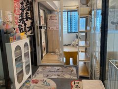 -有喵·猫咖·狗咖·30几只猫10只小狗(岗厦店)