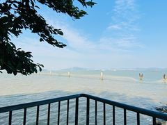 -南沙蒲洲花园
