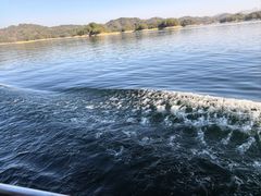 -千岛湖东南湖区