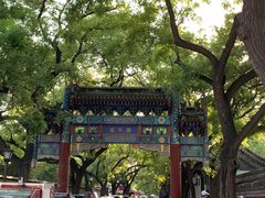 -北京国子监胡同