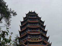 -铁山坪森林公园