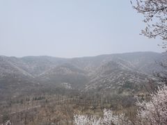 -北京鹫峰国家森林公园