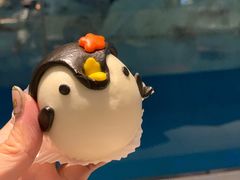 -帝企鹅自助餐厅•儿童岛•真企鹅(长隆企鹅酒店)