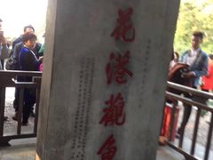 -西湖外事游船(花港观鱼码头)