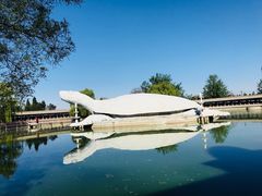 -东方巨龟苑景区