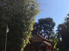 -云南民族村