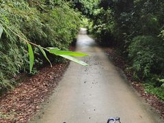 -大屏嶂森林公园