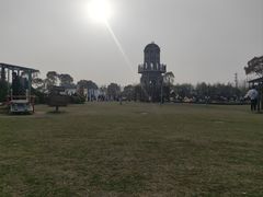 -上海长兴岛郊野公园