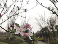 -两江国际影视城