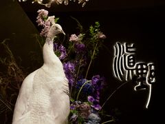 -滇野云南野生菌餐厅