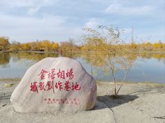 -金塔沙漠胡杨林景区