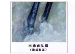 -LJOY丽锦造型·烫发染发
