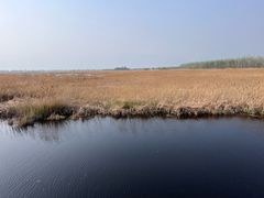 -野鸭湖国家湿地公园
