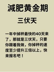 -Fundi张玉珊修身堂·indiba·BTL科技瘦身
