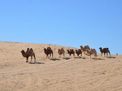 -库伦旗银沙湾旅游景区