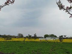 -武汉紫薇都市田园