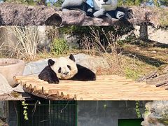 -安吉竹博园