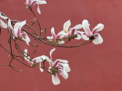 -东华门大街小区