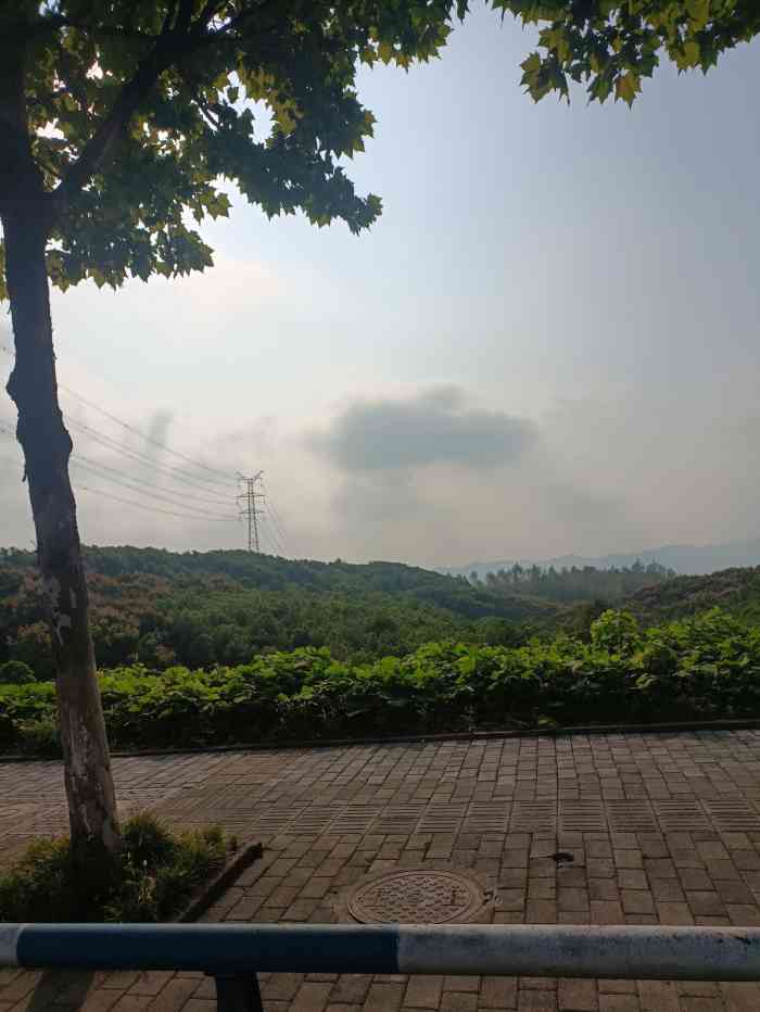 乡村基(陈家湾店)-"重庆满街都是乡村基啊 就象上海满街都是k.