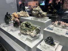 -湖南省地质博物馆