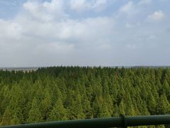 -黄海国家森林公园