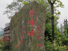 -碧峰峡风景区