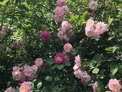 -白鹭湾湿地公园