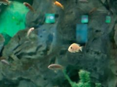 -常州海昌海洋探索馆
