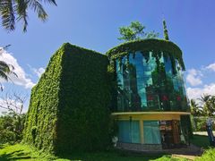 -东寨港红树林旅游区