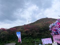 -大围山国家森林公园
