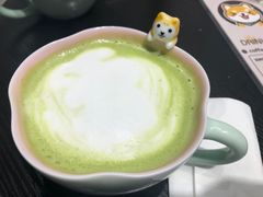 抹茶拿铁-逗柴咖啡屋·狗咖猫咖宠物桌游