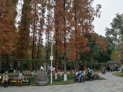 -成飞公园