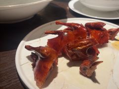 -甄御•海鲜新青岛菜(麦岛店)