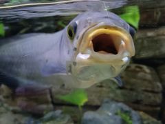 -上海海洋水族馆