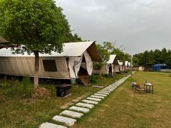 -上海海湾国家森林公园