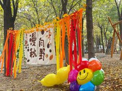 -北京市海淀区锦绣明天莲宝幼儿园