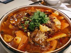 金牌毛血蛙-春暖花开(西溪店)