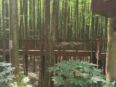 -山王坪喀斯特国家生态公园