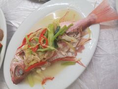 大眼红鱼-老三鱼仔店