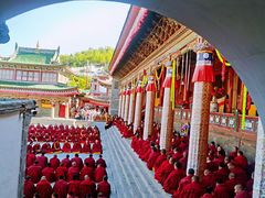 -塔尔寺游客服务中心