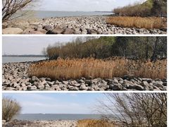 -上海吴淞炮台湾国家湿地公园