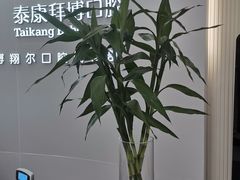 -泰康拜博口腔(凯迪大厦店)