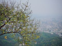 -广州市白云山风景名胜区