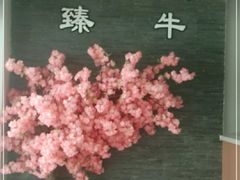 -臻牛烤肉