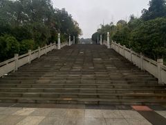 -铁山坪森林公园