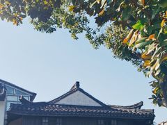 -川沙古镇-停车场