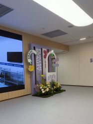-上海伊莱美医疗美容医院
