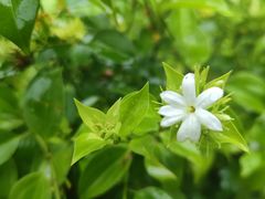 -世间香境·七溪地