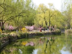 -宝鸡植物园